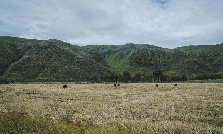 双子座分手反应,双子座分手预兆
