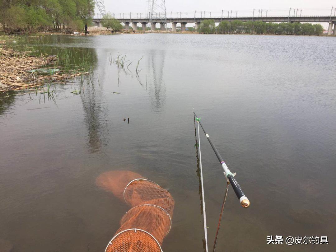 红狼鲢霸鱼竿,红狼湖库版鲢鳙竿