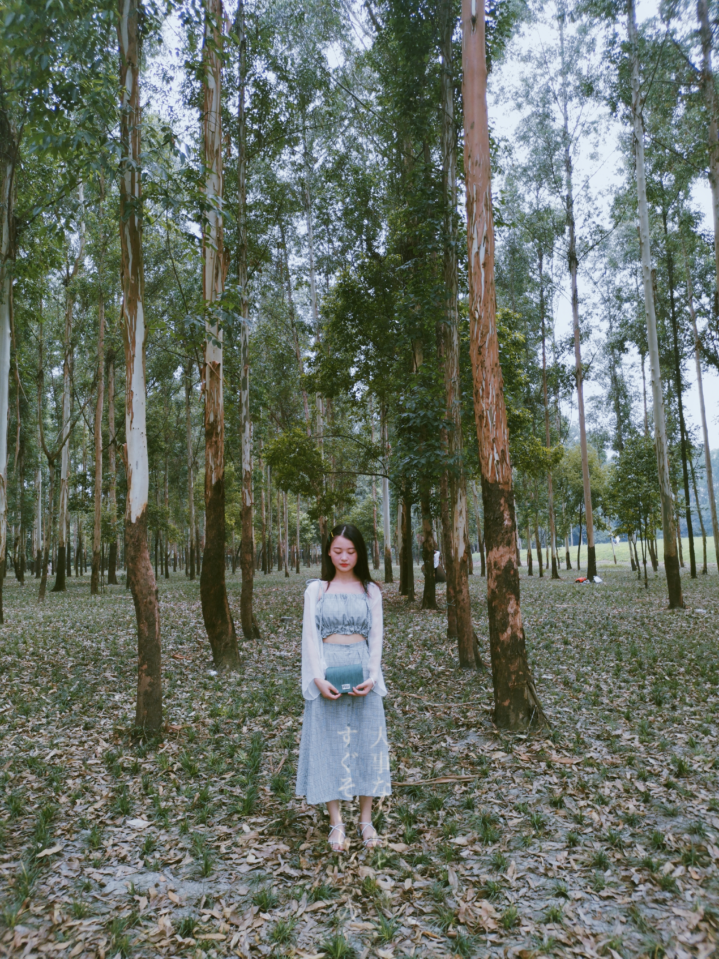 向日葵花海成都8月,成都向日葵花海几月有花