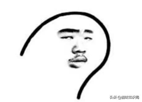 营养膏有营养吗,好吃又不贵的猫粮营养膏