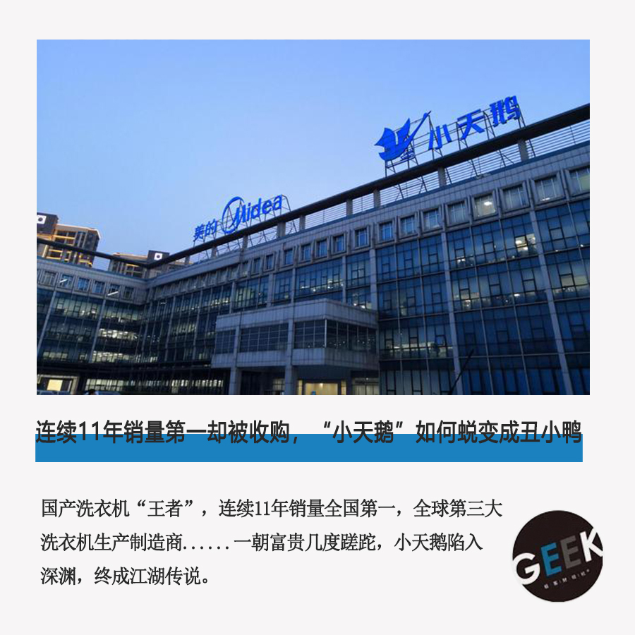 小天鹅经营现状,小天鹅销量