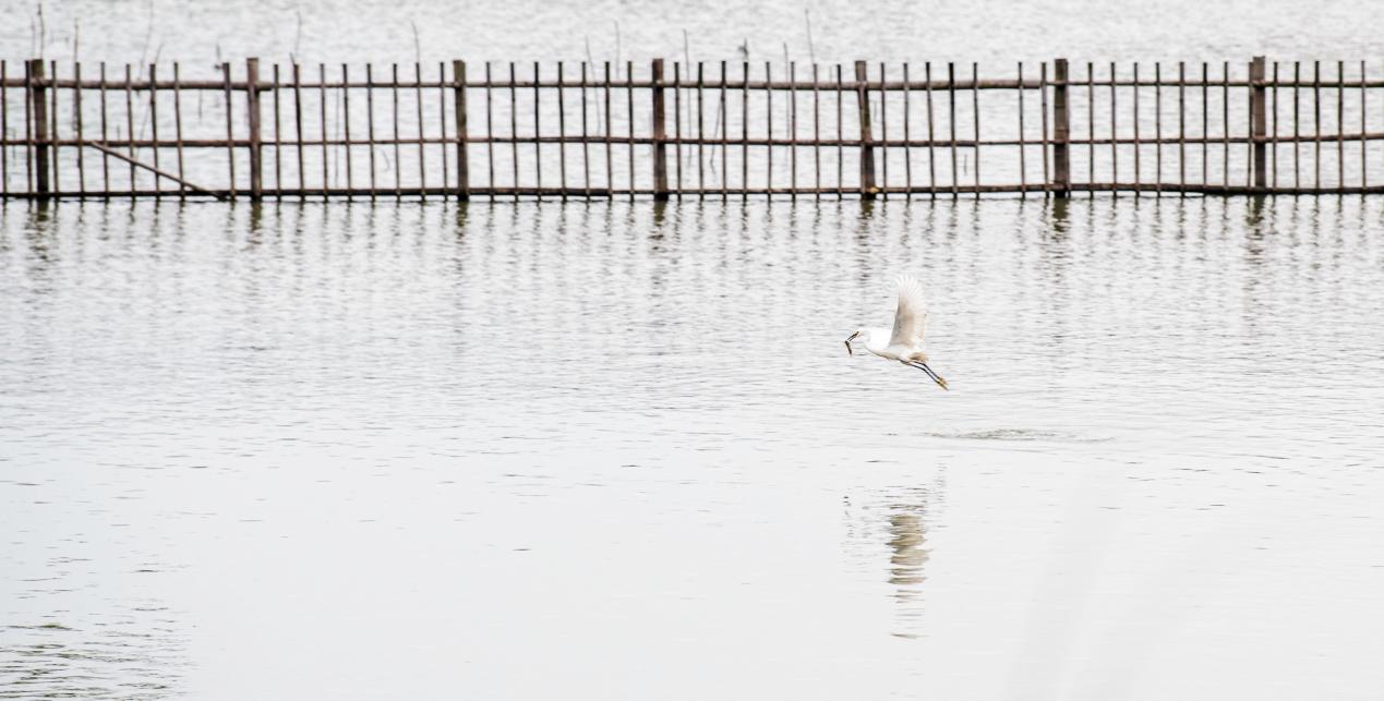 宿在德清凯悦嘉轩，感受大自然美好馈赠
