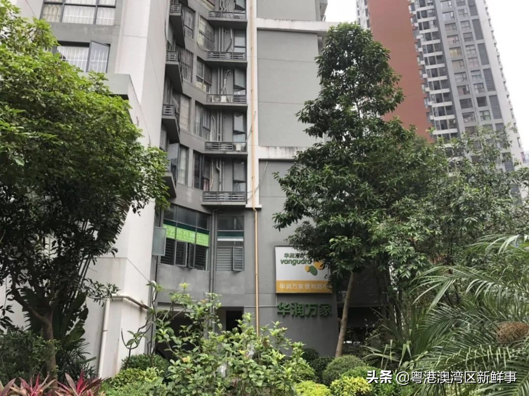 宀佹湀闈欏ソ澶氬Э澶氬僵,鑺辨牱骞村埆鏍峰煄娲嬫埧