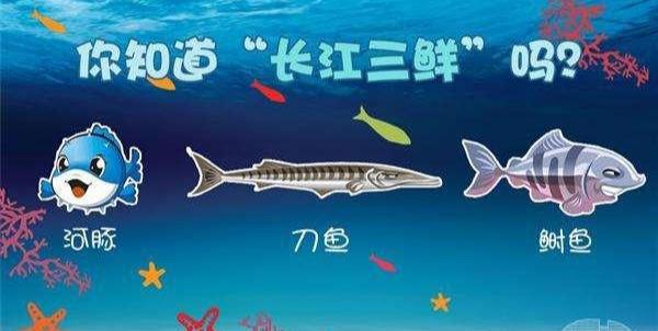 此味只应天上有，哪知全从长江来—长江三鲜