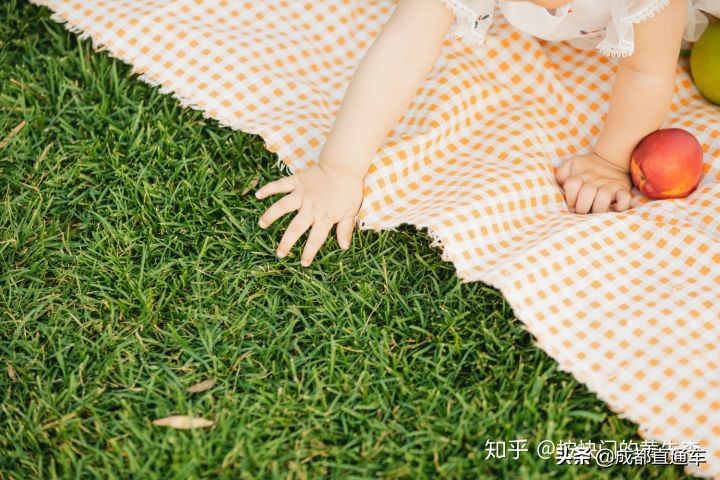 2019你都拍过什么,2019年最怀念的照片