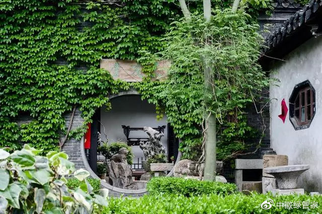 中徽绿化园林,中式园林的四季之美
