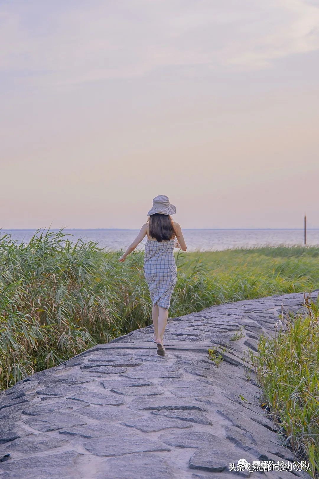 崇明岛地理位置独特,崇明岛过度开发