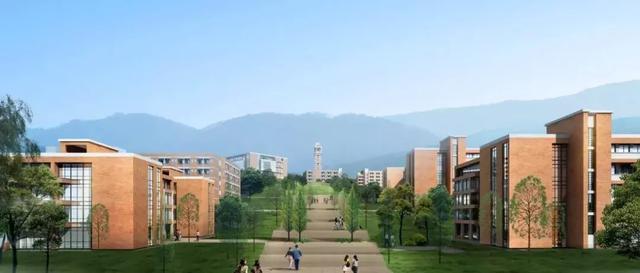 小升初孩子择校该当鸡头还是凤尾,石家庄小升初择校当鸡头还是凤尾