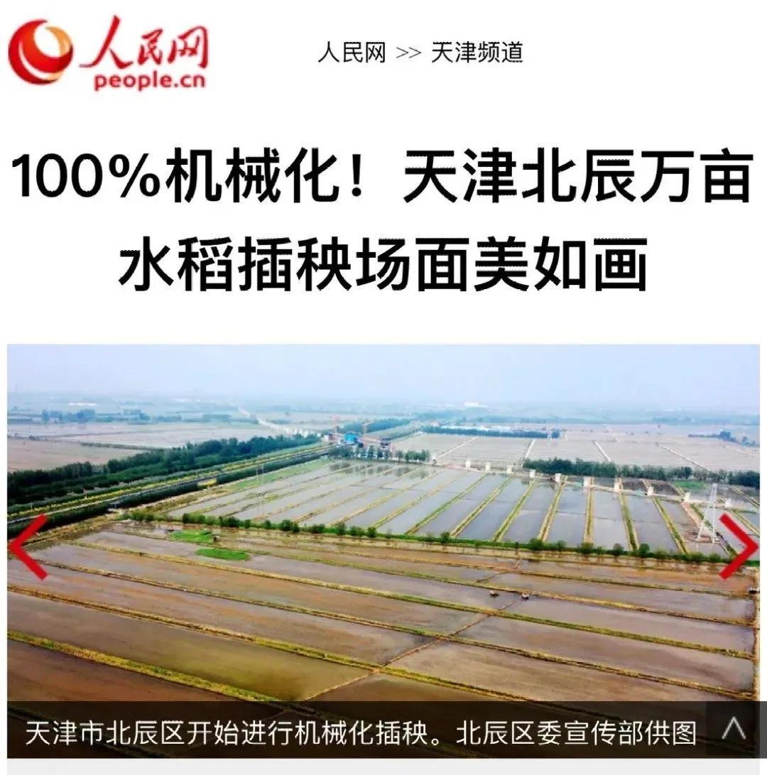 央媒、市媒聚焦|100%机械化！北辰区​万亩水稻插秧场面美如画~