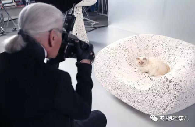 老佛爷的猫继承多少遗产,老佛爷去世后财产留给了一只猫