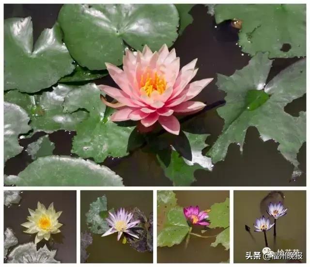 福州东街口去景点方便吗,东街口福州游玩