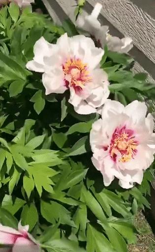 小孩子视力下降怎么可以恢复,儿童视力恢复最佳方法3-6岁