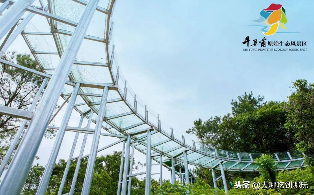 牛鱼嘴空中漂流丛林穿越,牛鱼嘴双龙玻璃空中漂流团购