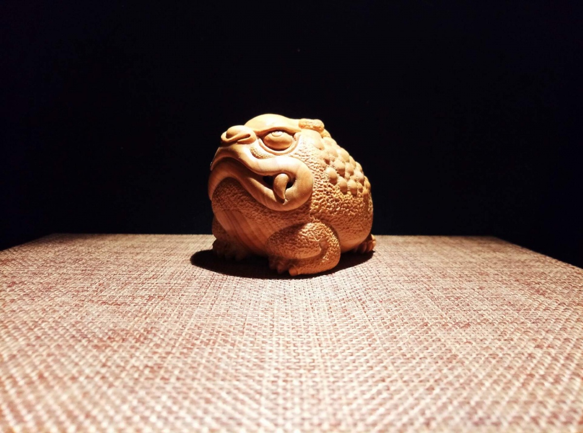 金蟾和金蟾区别,金蟾和蟾蜍是一种动物吗