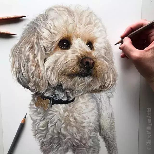 画得比实物好看,彩铅怎么样能画好看