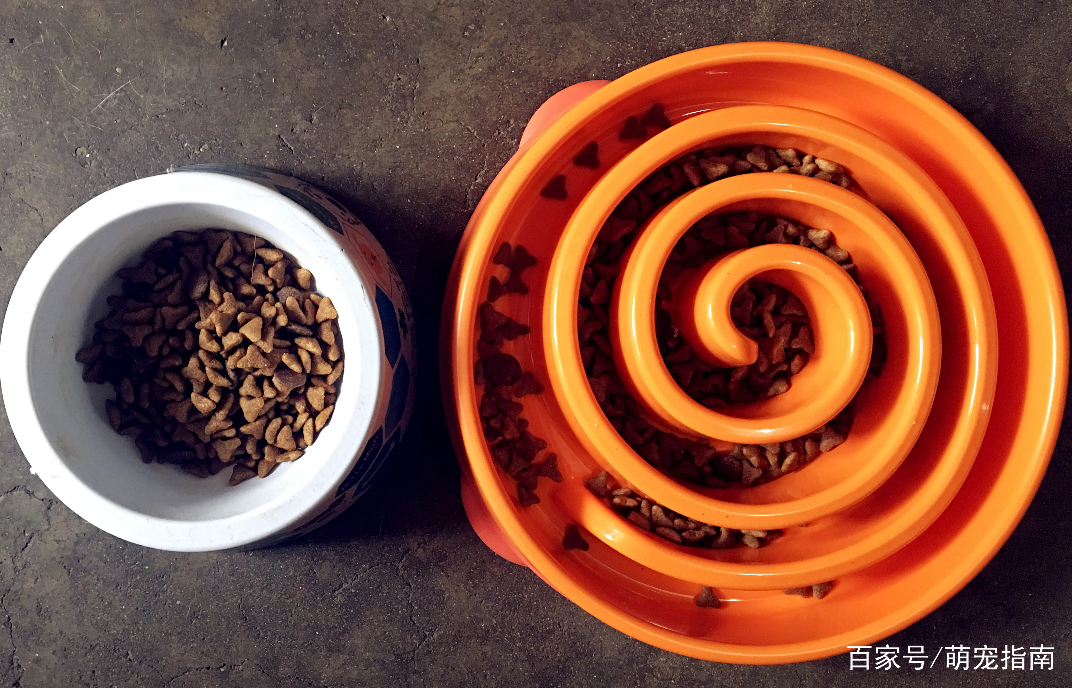 狗狗多大吃饭才不会狼吞虎咽,狗狗吃饭越吃越少以为是饭盆