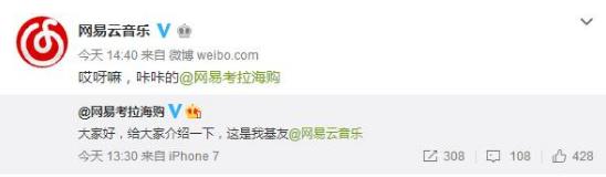 知否白莲女团谁最强,知否里的白莲谁最厉害