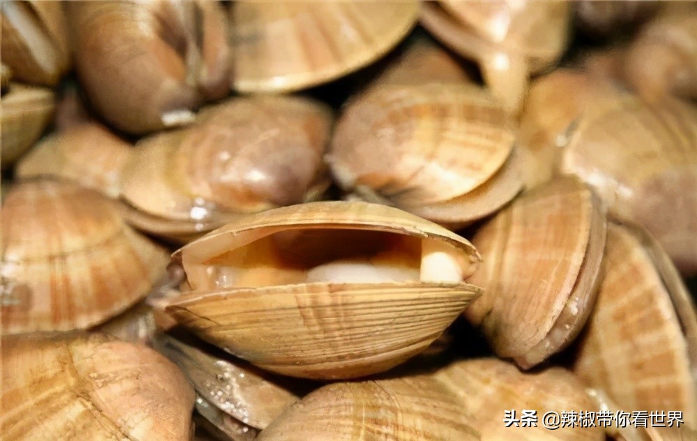 从北到南：辽宁省——永远安宁的辽河流域这里的男人我们一起抢过