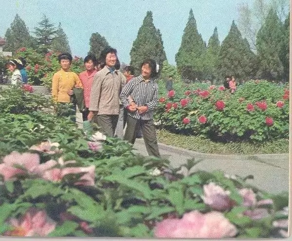 洛阳古城历史照片,历史的记忆完整视频