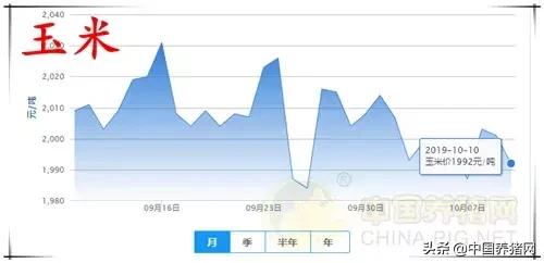 10月10日猪评：直线攀升的猪价，使养猪人成为猪业“主演”？