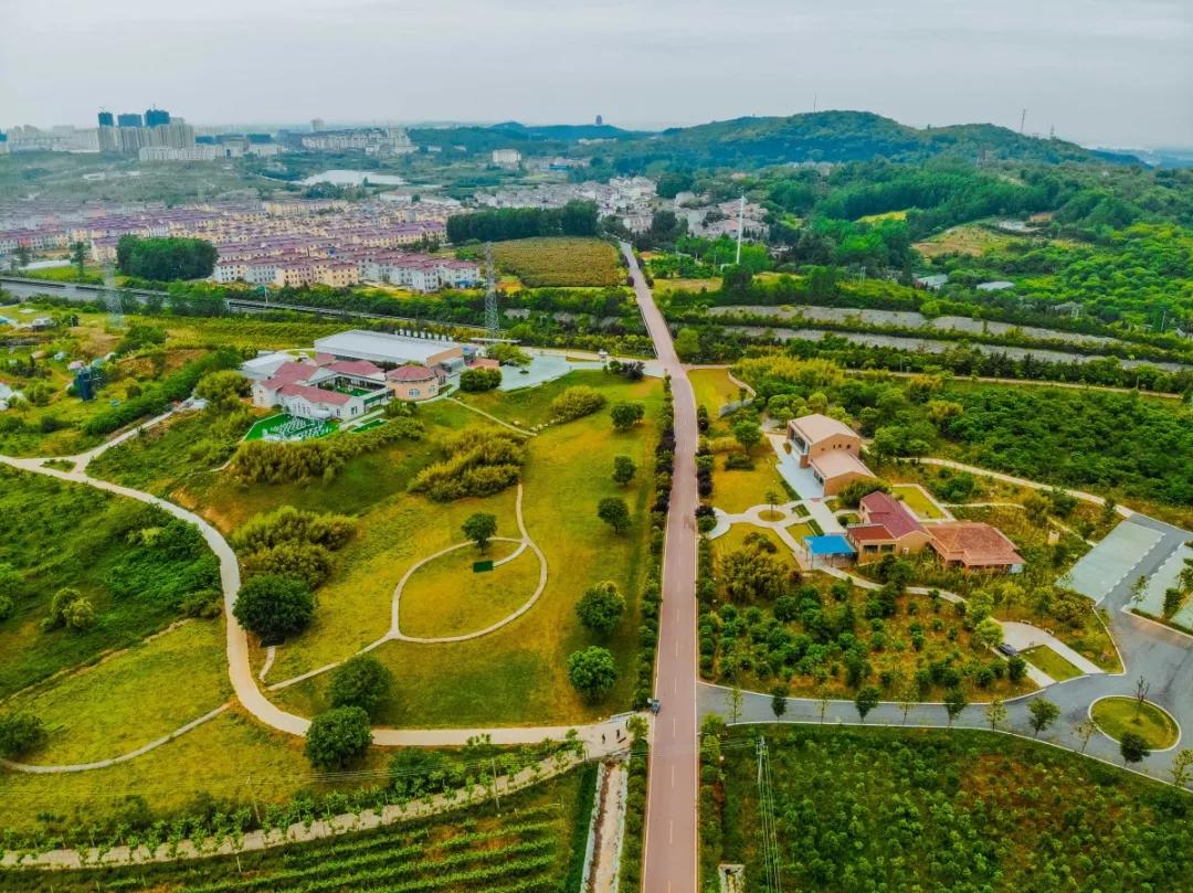 嗨一起去游陇南,嗨一起去陇南