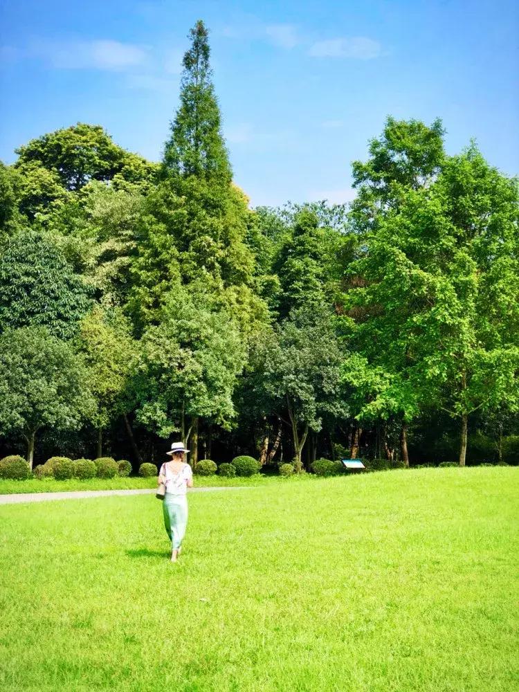 热炸!四川这些小众避暑佳境,光看图就能凉快10℃