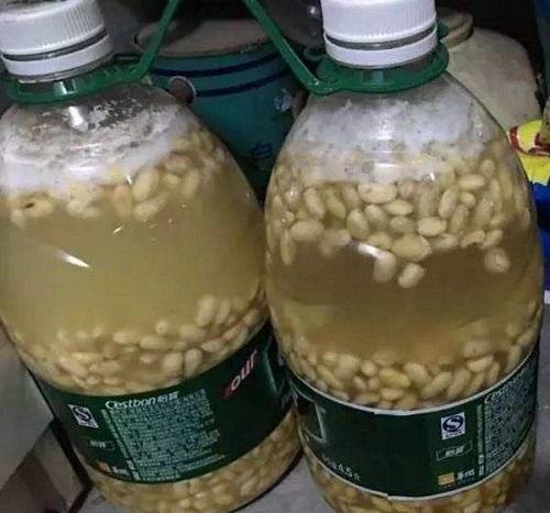 春天种植需要用到的肥料,怎么给花卉施氮磷钾肥