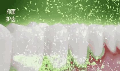 刘涛同款烤瓷牙,刘涛的牙齿烤瓷牙和全瓷牙