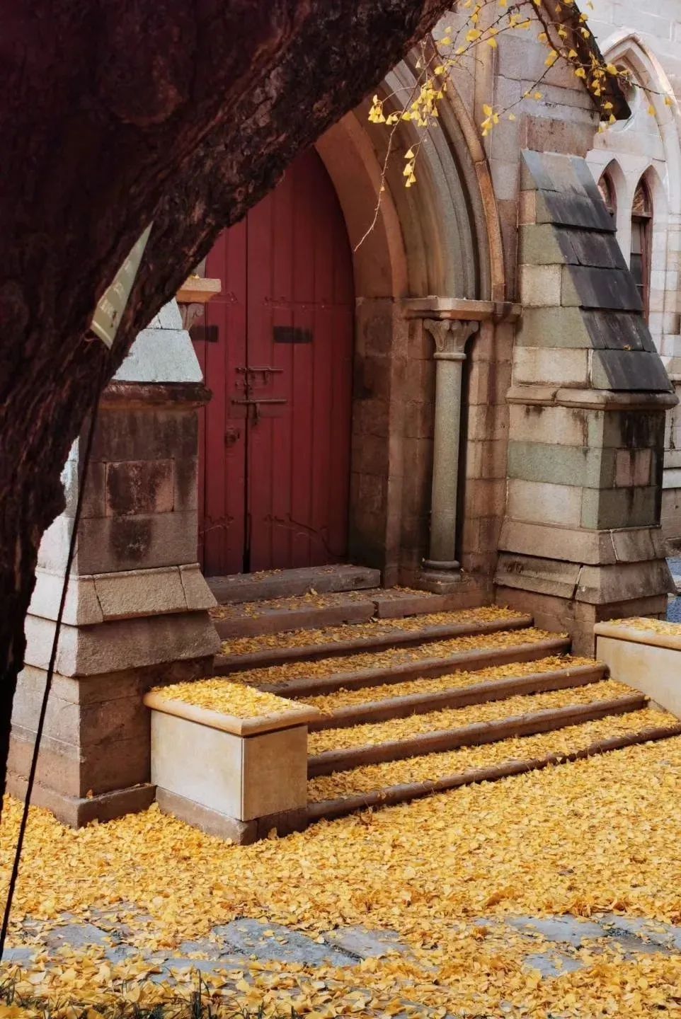 行走烟台市,行走烟台山