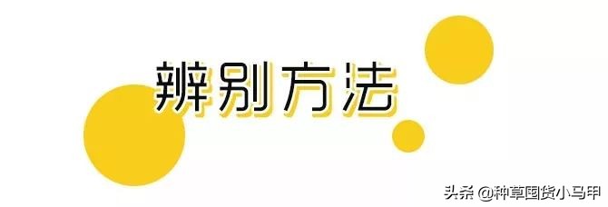 假代购真实案例,假代购常用骗术揭秘