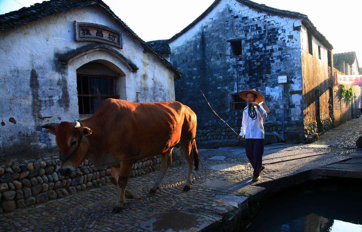 国内最值得去的11个古镇,中国的哪些著名的古镇好玩