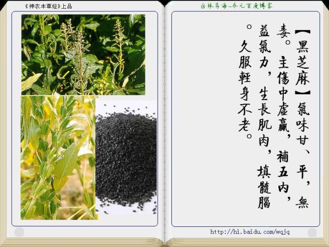 本草纲目中药讲解视频,本草纲目中药图谱及药理讲解