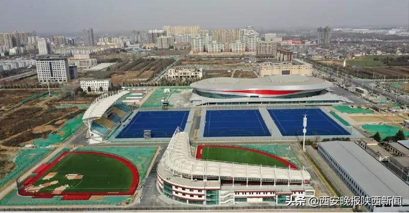 十四运会赛程安排在哪看,十四运会观赛