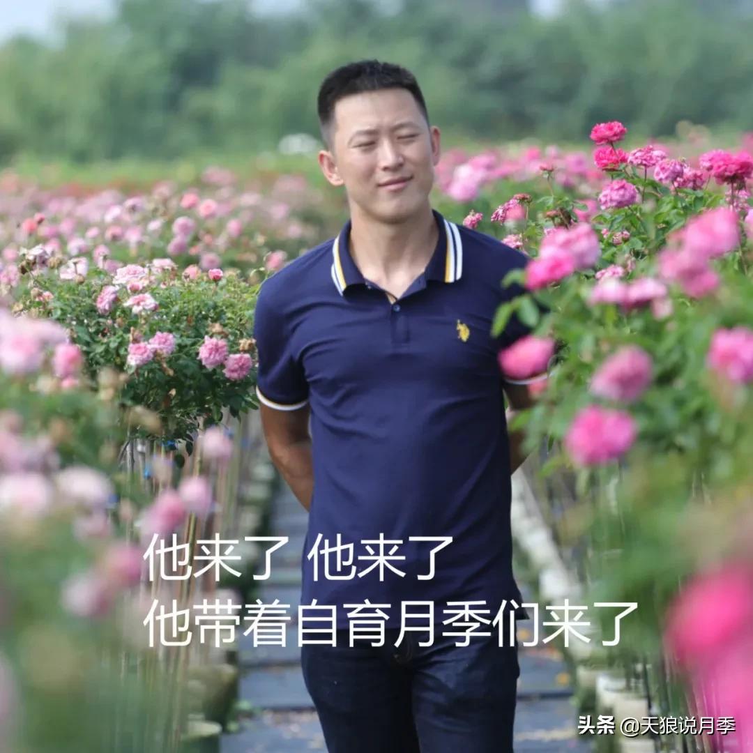 不容易，天狼自育终于打折了！空蒙只要50不到！