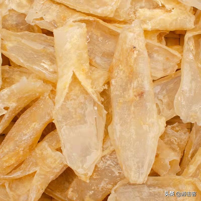 养殖的鱼胶有营养吗,野生鱼胶与养殖鱼胶的区别