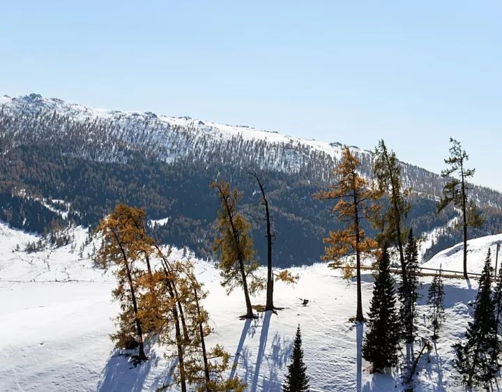 国内这7个绝美雪景地,看到第一个我就想去了!