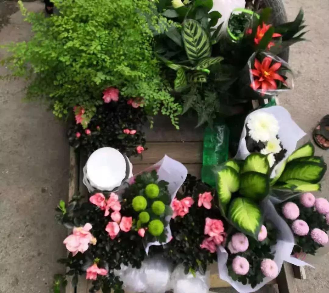 「真实故事」如何用一块钱拯救脱发少年？