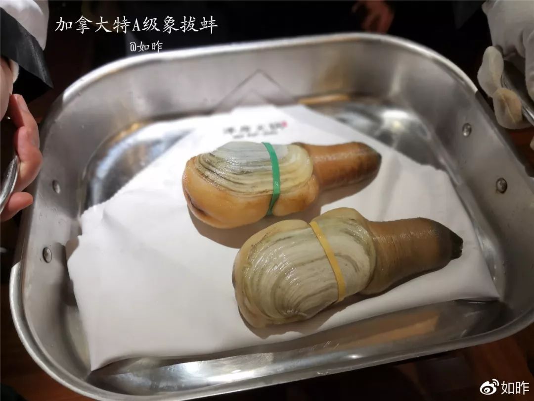 美食大咖私房菜,精选美食推荐让你的味蕾享受盛宴