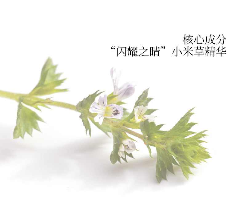 资生堂眼纹小熨斗眼膜使用方法,晓姿眼膜紧致淡化细纹