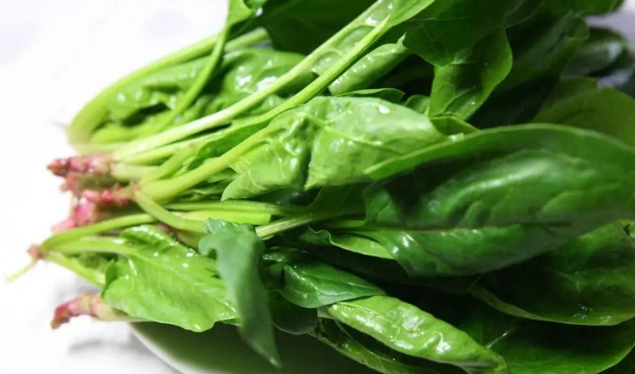 大棚蔬菜田间管理技术,冬季大棚种植什么蔬菜销路好