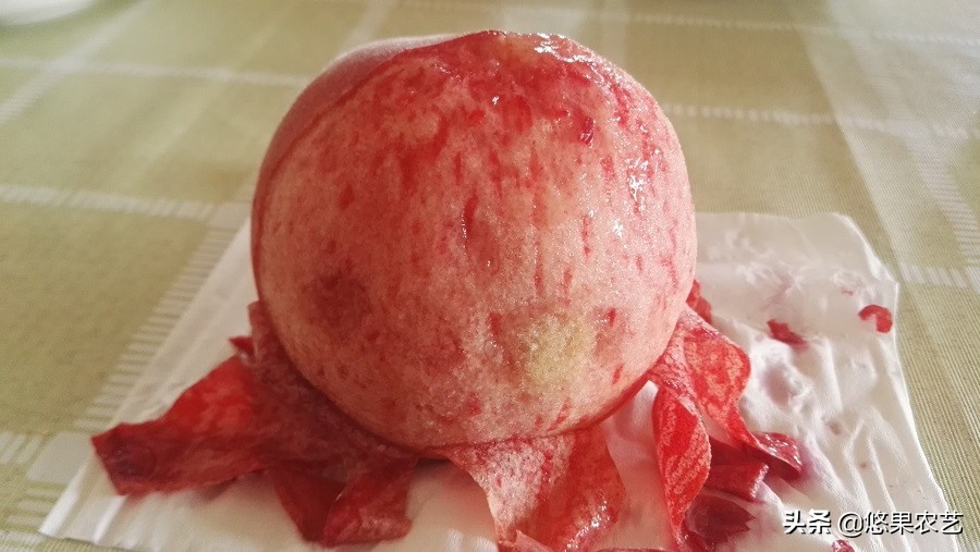 桃树的种植方法和管理,想种植果树去哪里咨询