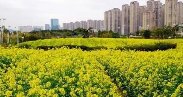 福州有什么好东西,福州有什么福利可以领