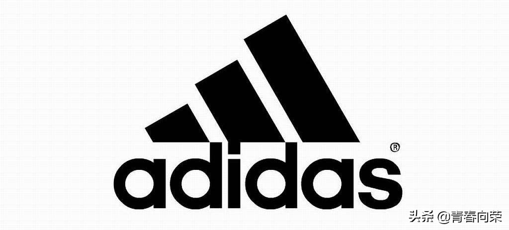 新手偏硬跑鞋推荐,新手缓震碳板跑鞋推荐