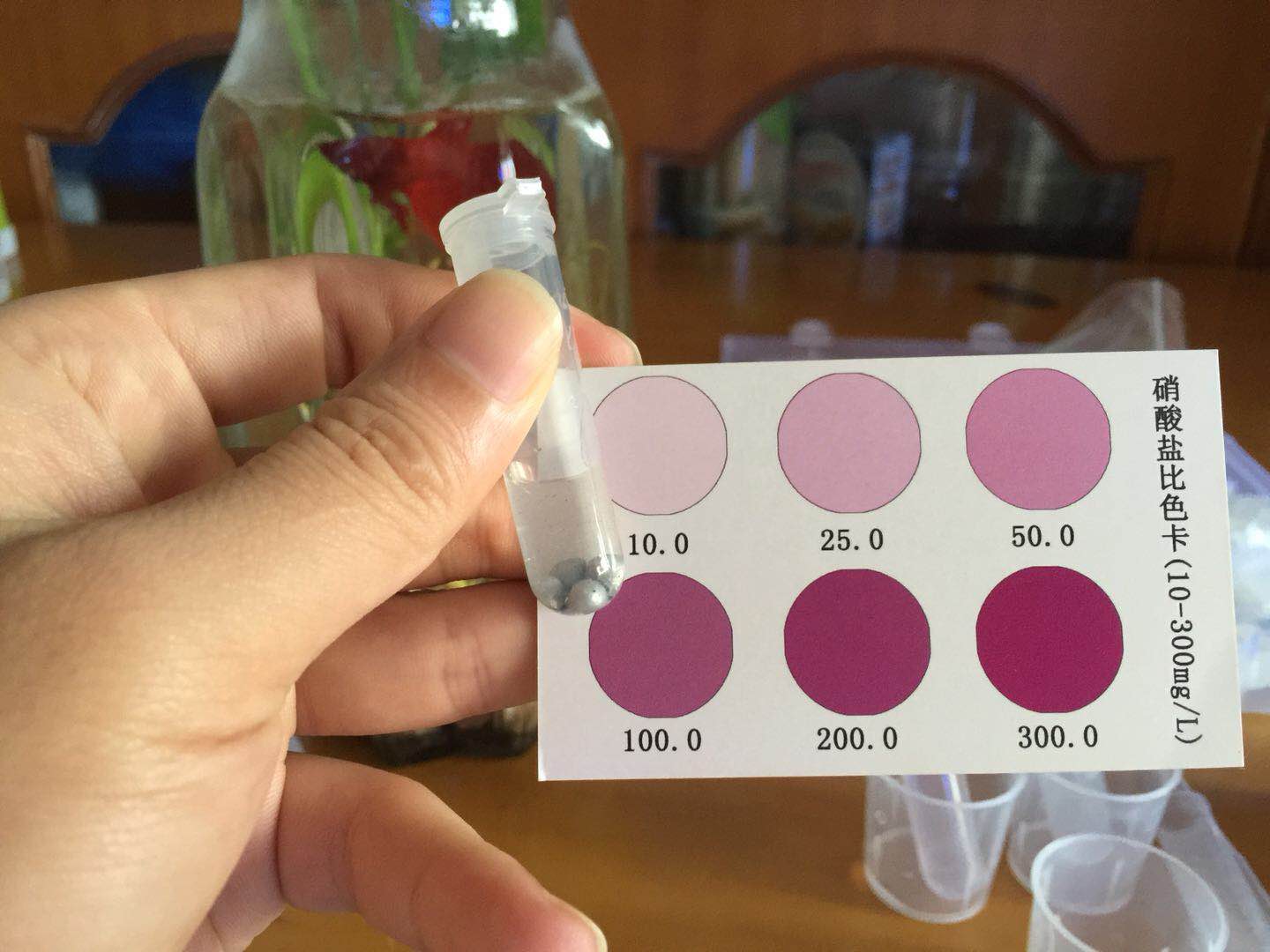 泰国斗鱼和绿萝一起养会死吗,怎么养水培绿萝才好看