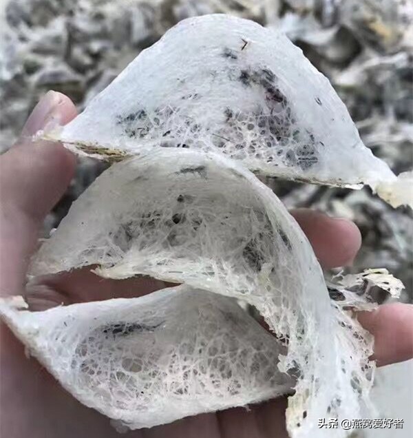 燕窝讲解,燕窝话术100句