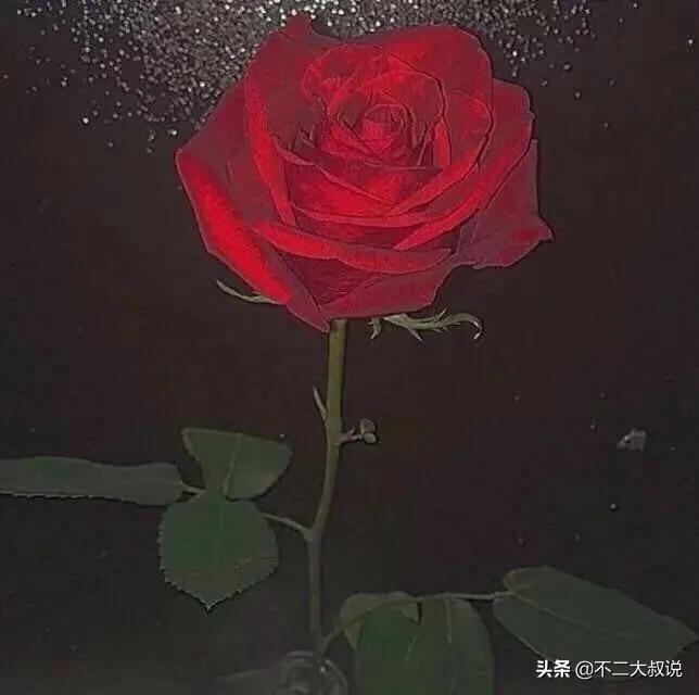 高质量文案短句写给暗恋的人,隐秘表白暗恋的短句