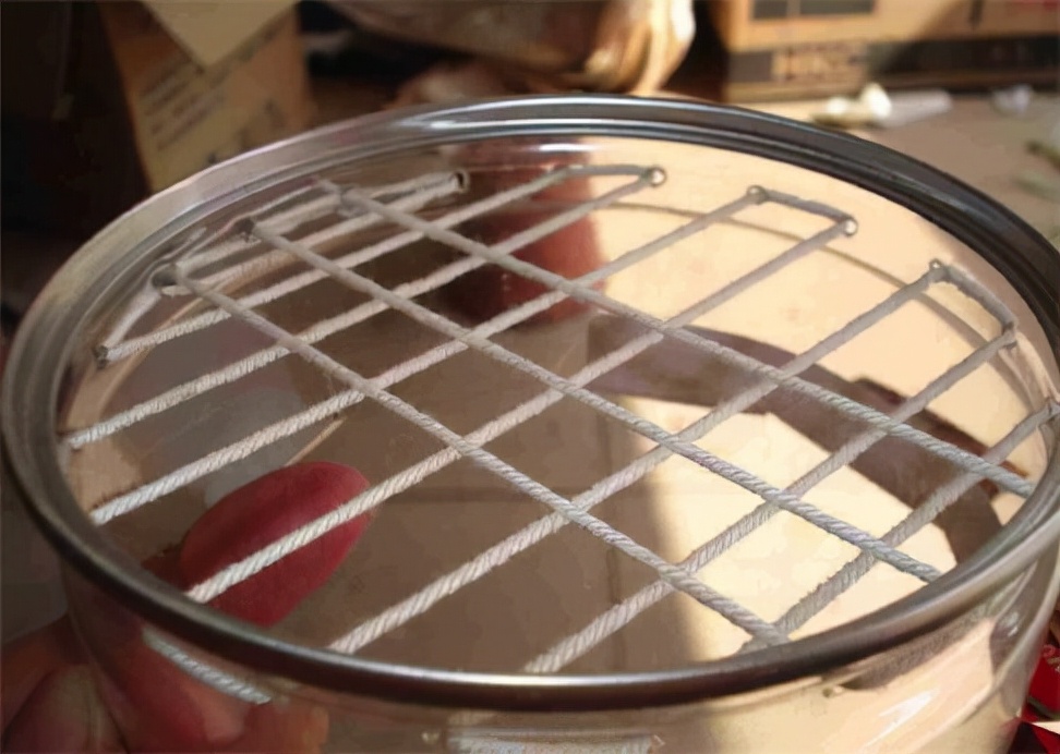 吊兰水培养鱼怎么养好活,水培吊兰可以养小鱼