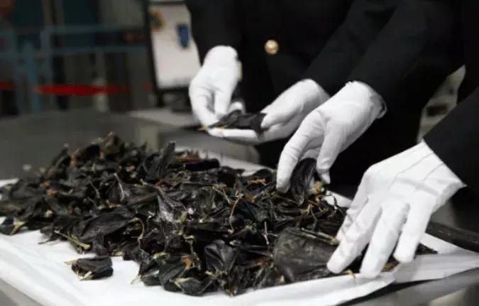 从日本带东西会被查吗,从日本回国不能带什么东西