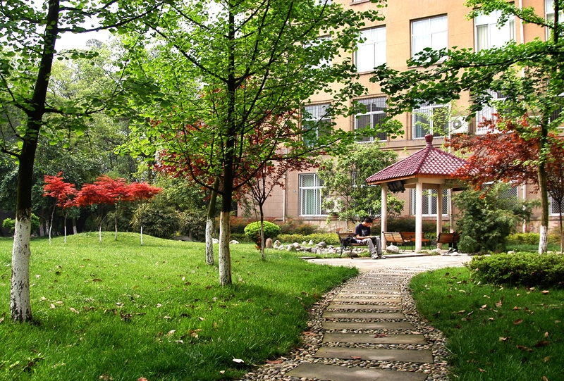 每日一校一专业,每日一校一览表