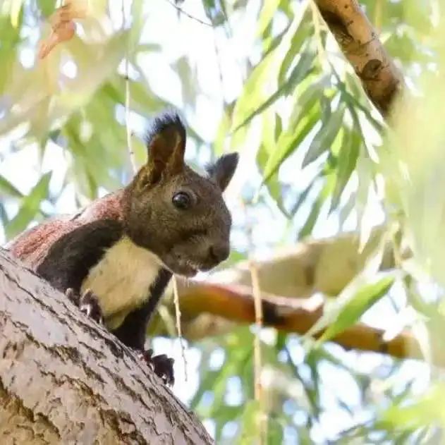 向往的大外|带你一起看大外
